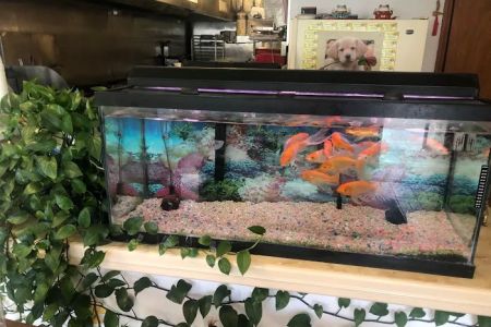 Sheng Garden Chinese Restaurant