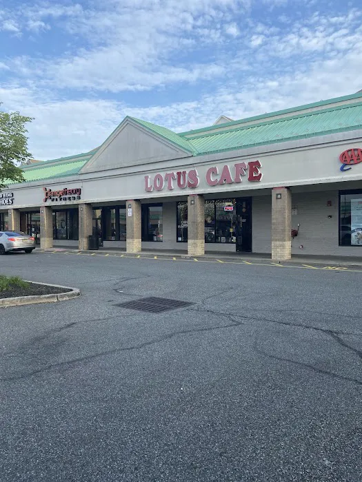 Lotus Cafe 2