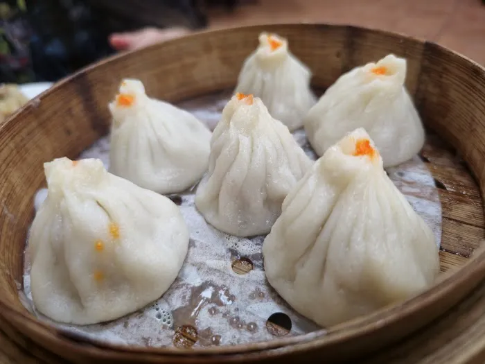 Dumpling Capital 6