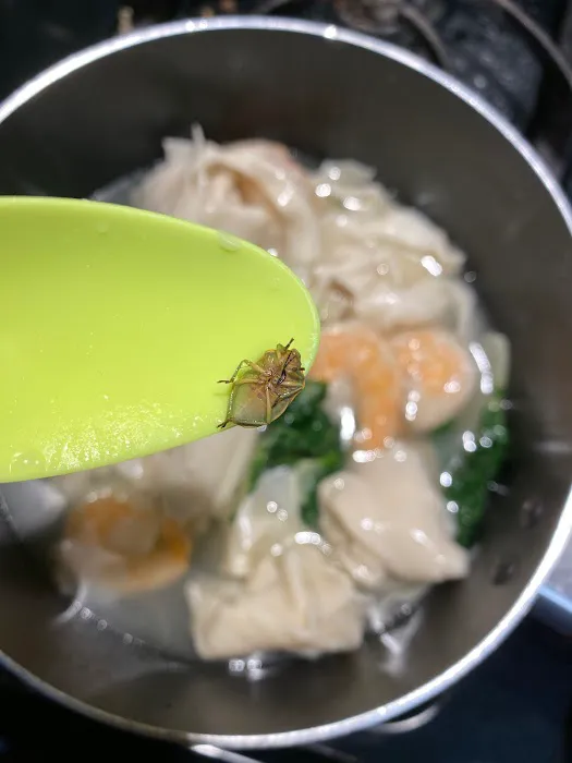 Sun-Ly Chinese Restaurant 7