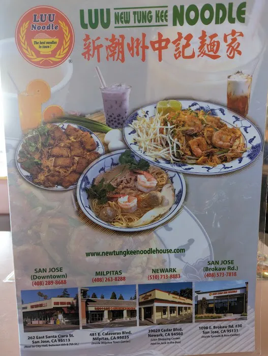 Luu New Tung Kee Noodle 10