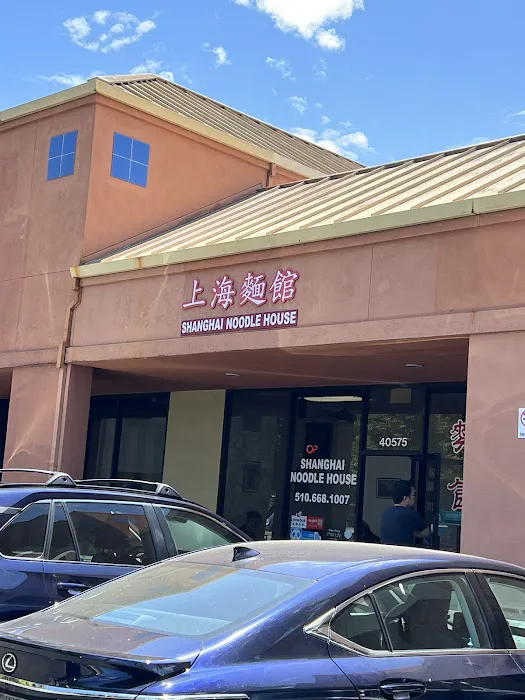 Shanghai Noodle House 1
