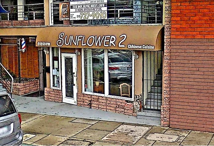 Sunflower Chinese Halal & Catering 3