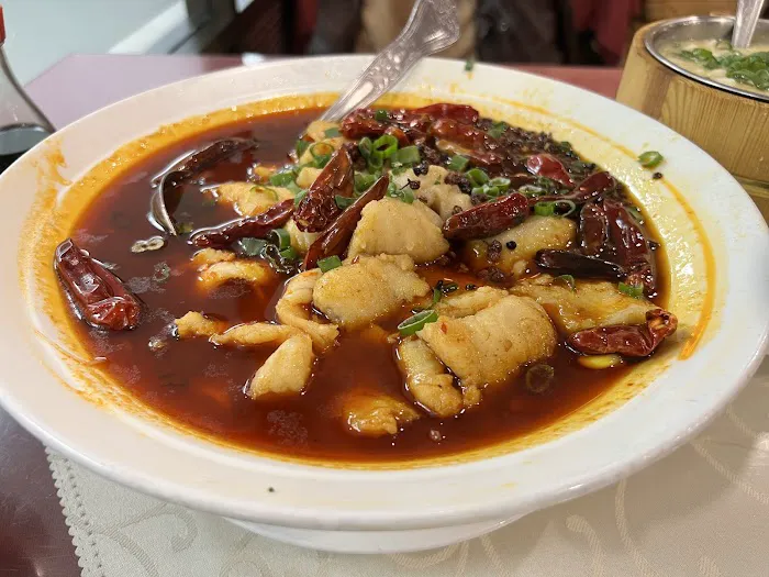 Sichuan Fusion 8