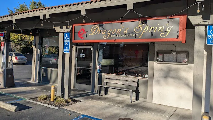 Dragon's Spring 1