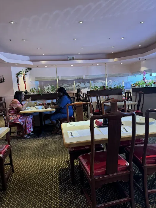 Dynasty Chinese Restaurant 2