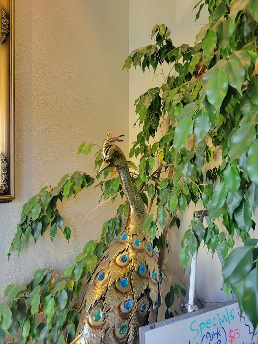 Golden Phoenix 10