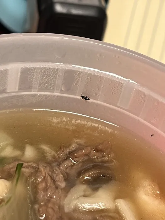 China Gourmet 6