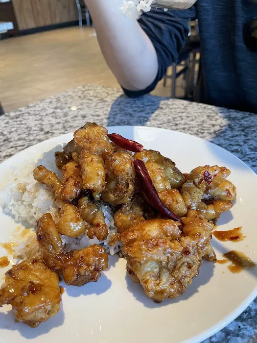 Tasty Gourmet 5