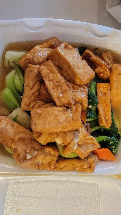 South North Dragon 9