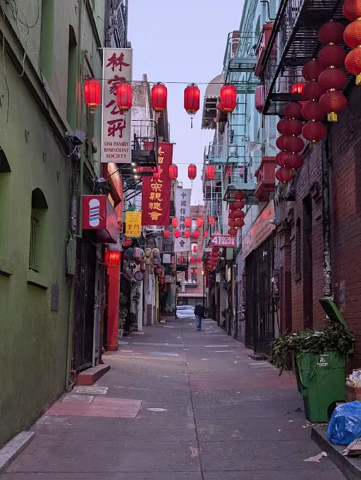 Delicious Dim Sum 4