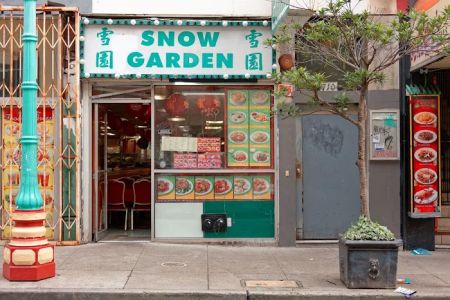 Snow Garden