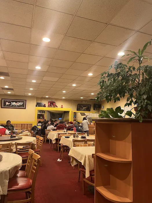 Szechuan Taste Restaurant 长江 2