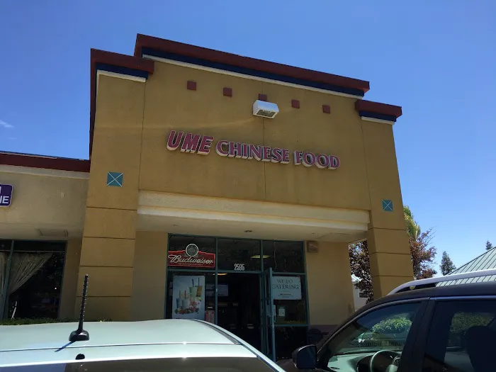 Ume Chinese Food 1