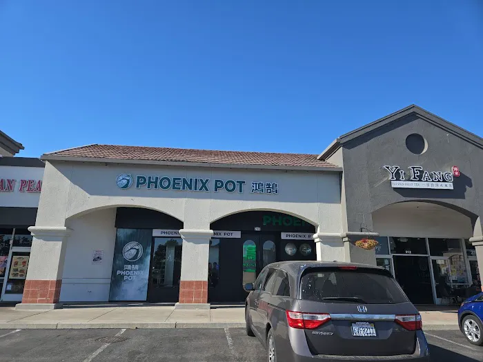 Phoenix pot 9