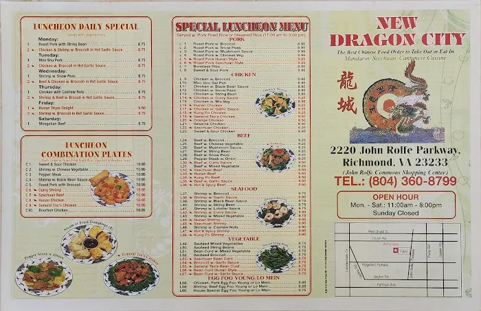 Dragon City 8