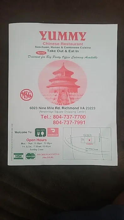 Yummy Chinese Food 9