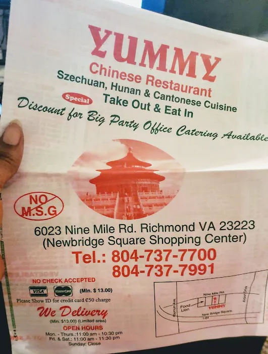 Yummy Chinese Food 10