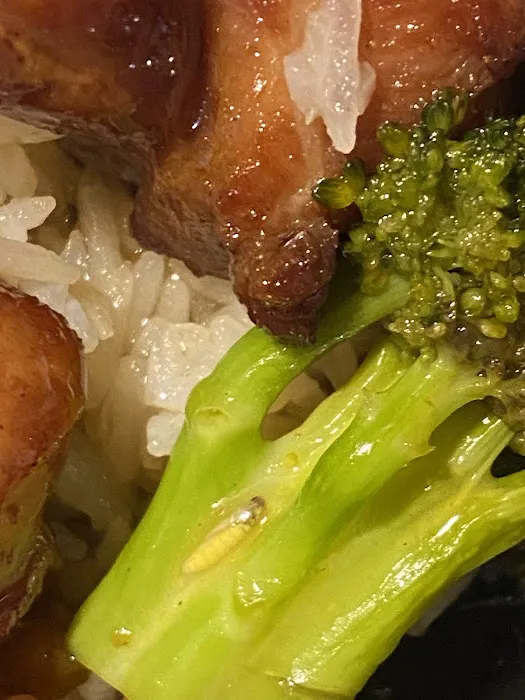 Number 1 Chinese Restaurant 4