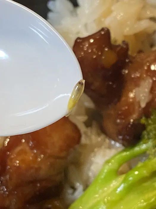 Number 1 Chinese Restaurant 10