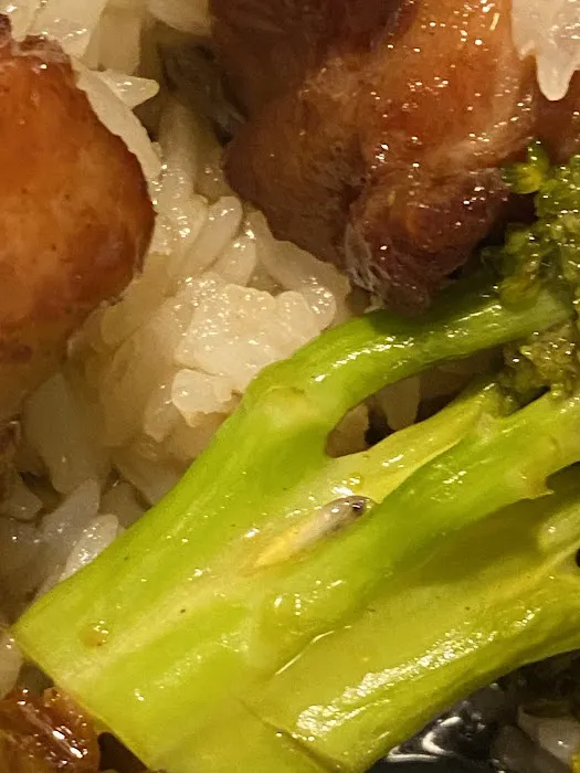 Number 1 Chinese Restaurant 9