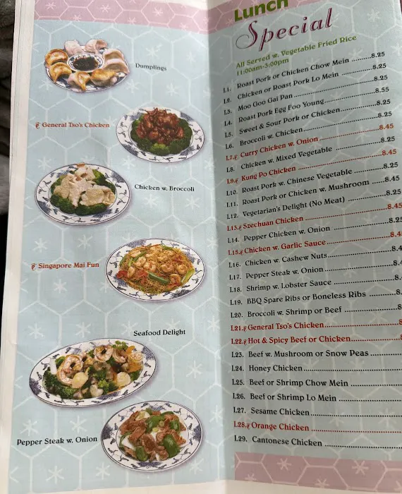 Speedy Wok 8