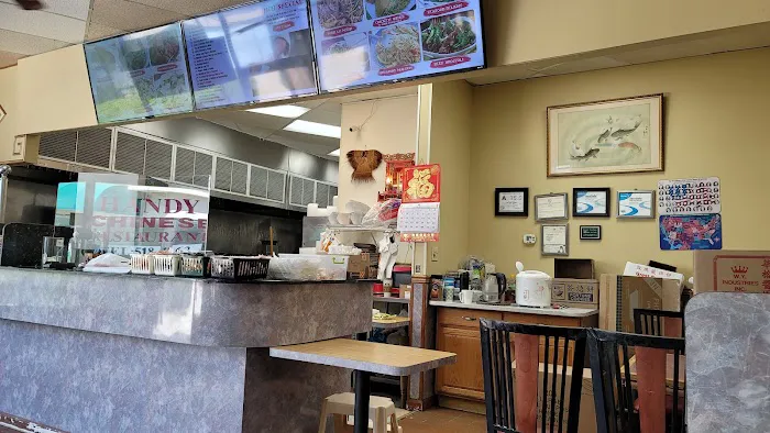 Handy Kitchen Chinese Restaurant 8