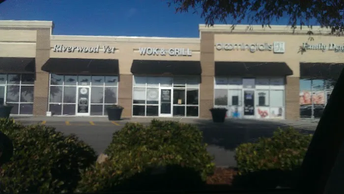 Wok & Grill 4