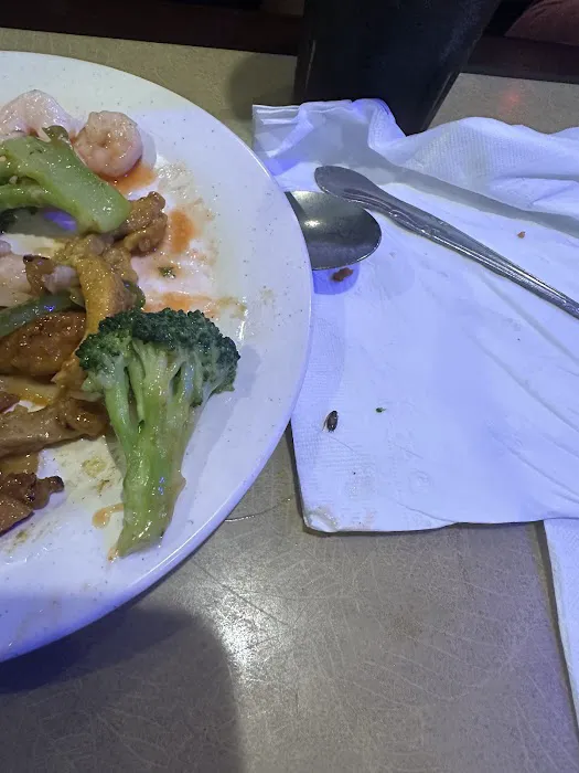 Yummy Orient 4