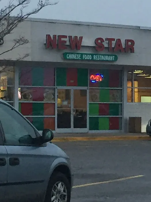 New Star Chinese & Hibachi Restaurant 2