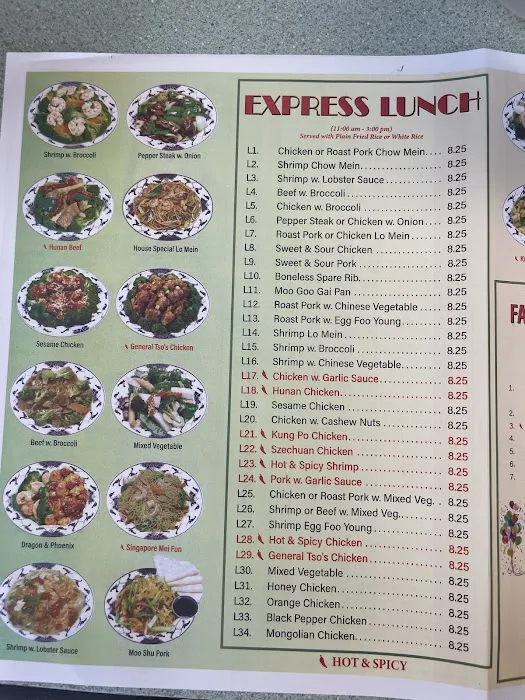China Star 9