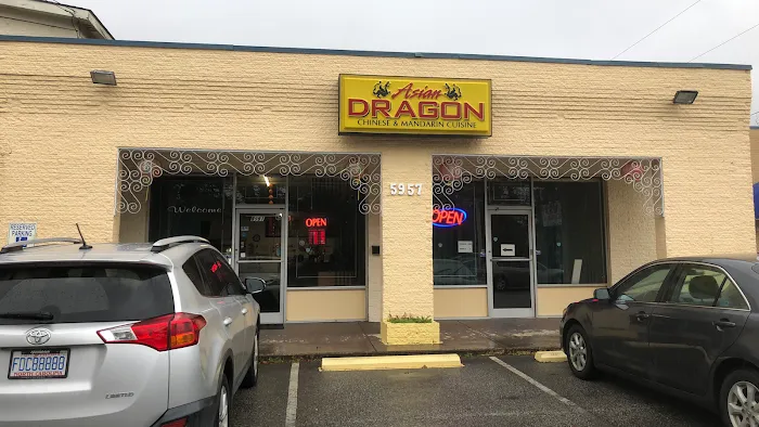 Asian Dragon 9