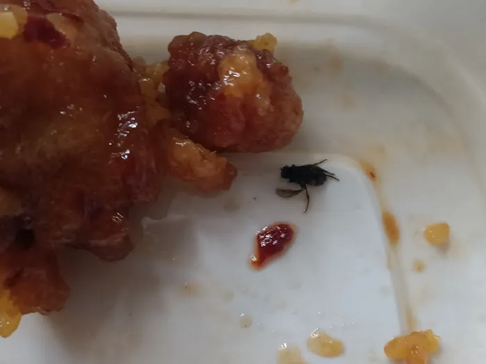 China Wok Restaurant 4