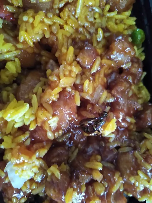 China Ming Buffet 5