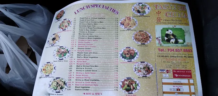 Taste of China 4