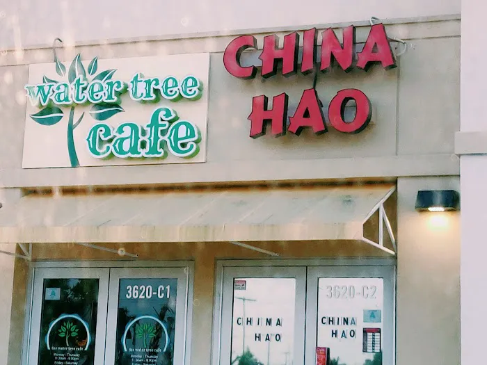 China Hao 9
