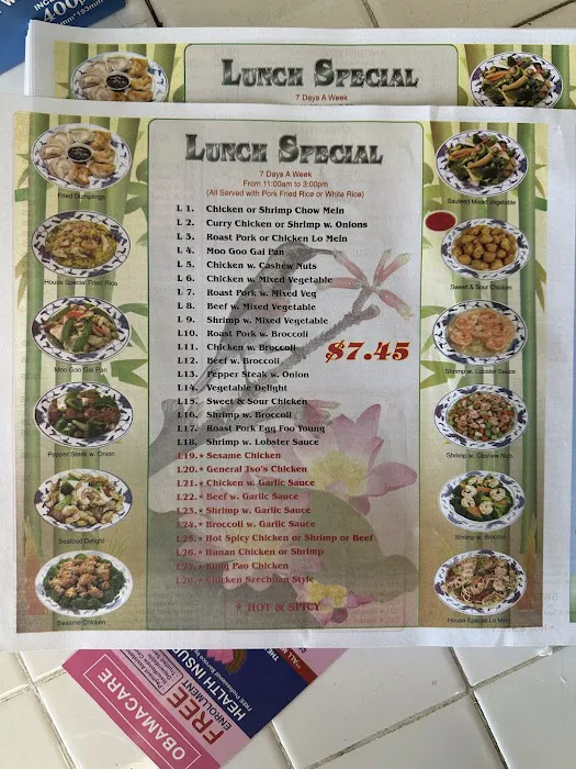 Mr. Lu Chinese Restaurant 6
