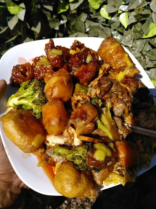 Mr Lu's Chinese Restaurant 4