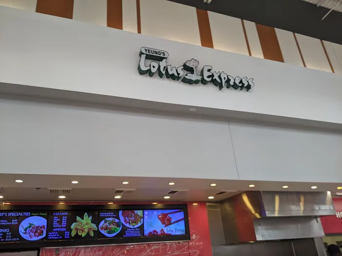 Yeung's Lotus Express 7
