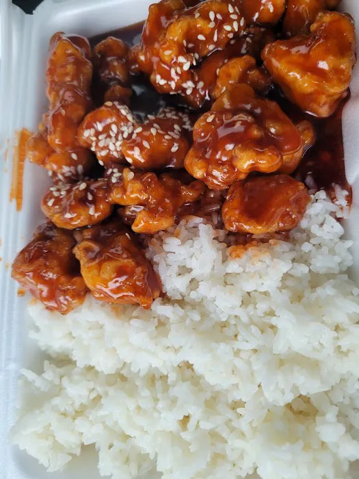 Yummy Cuisine 1