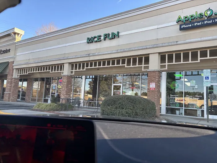 Rice Fun 10