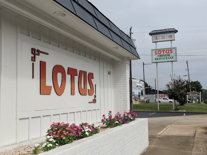 Lotus 7