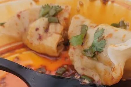 Dumpling Girls Food Truck