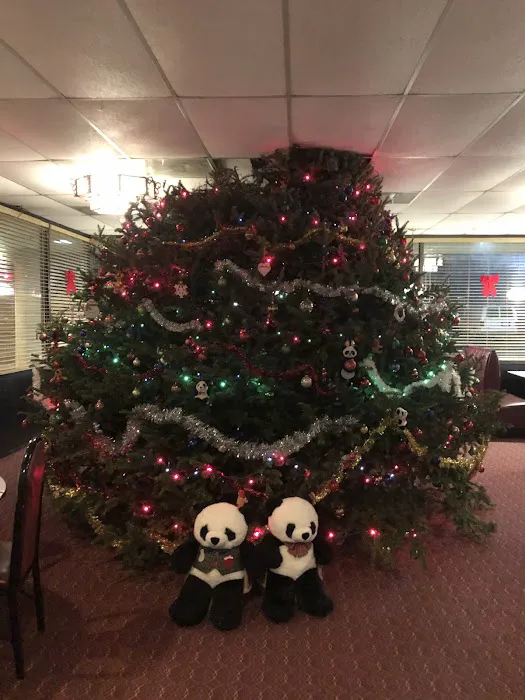 Panda's Den 5
