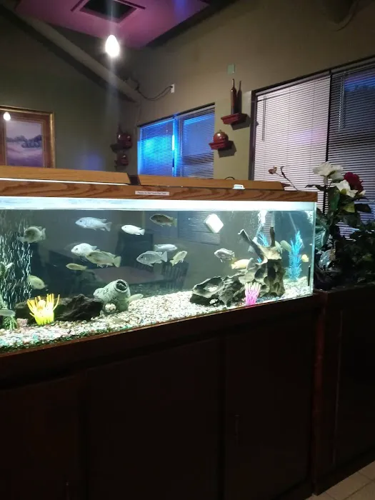 Chia Bistro 2