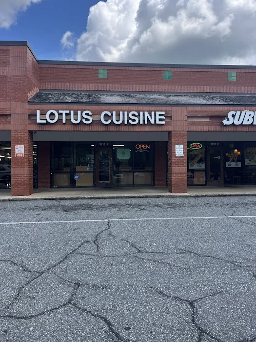 Lotus Chinese Cuisine 8