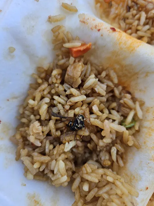 Lotus Chinese Cuisine 6
