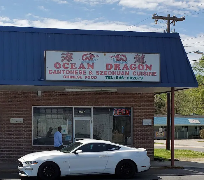 Ocean Dragon Chinese Restaurant 8