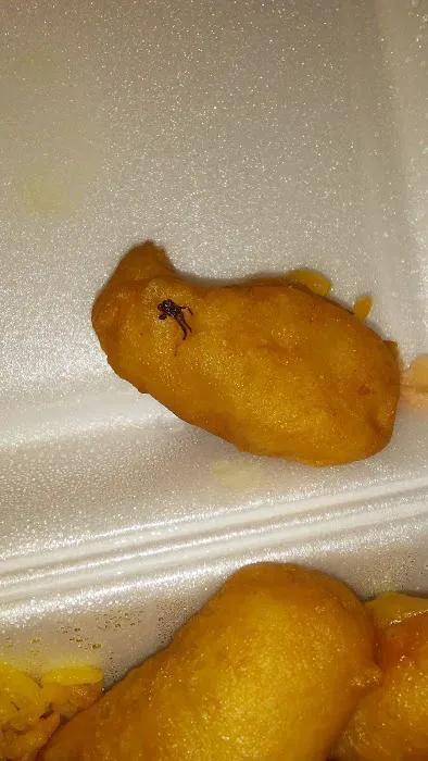 Hunan To Go 3