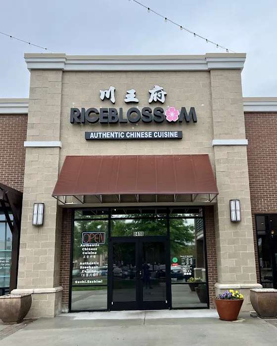 川王府 Riceblossom: Authentic Chinese Cuisine (Taste of SHU) 2